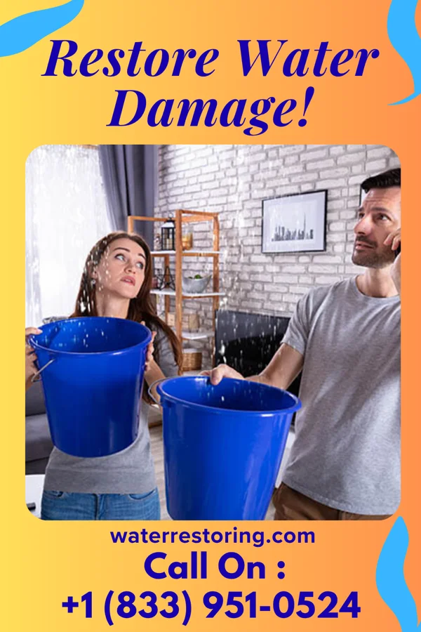 water restoration Zenith Sewage Cleanup Experts Courtland