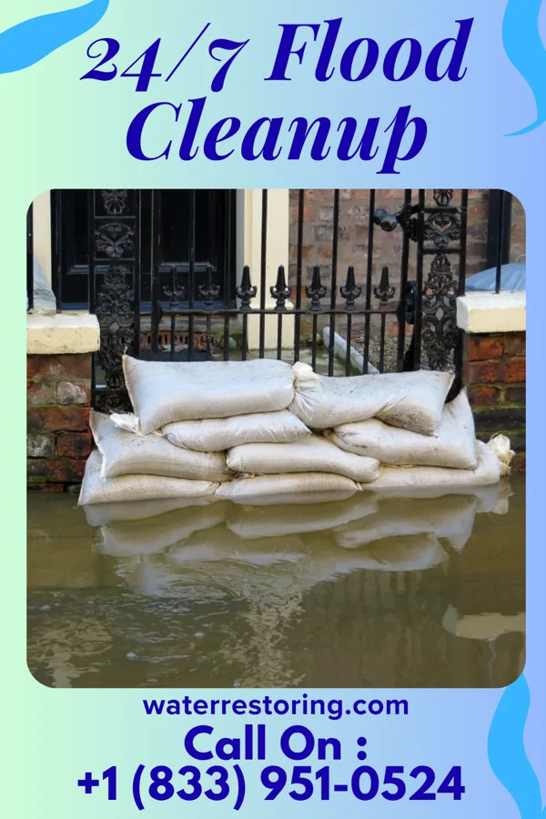 24/7 Flood Cleanup in Courtland, MS